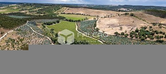 Terrain à Azambuja, Portugal 23488m² No. 39532 7