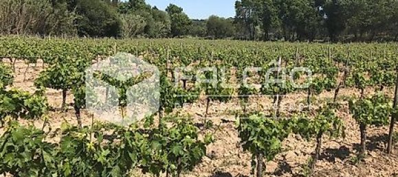 Terrain à Azambuja, Portugal 23488m² No. 39532 38