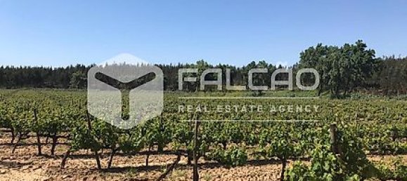 Terrain à Azambuja, Portugal 23488m² No. 39532 35