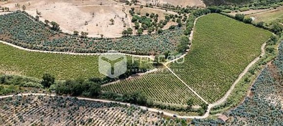 Terrain à Azambuja, Portugal 23488m² No. 39532 5