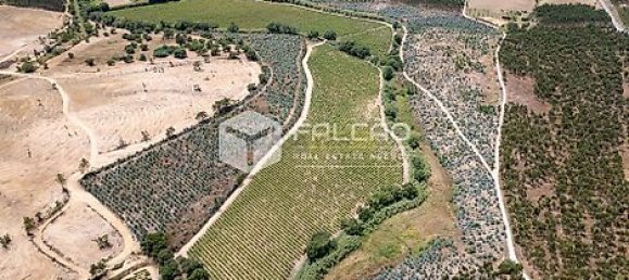 Terrain à Azambuja, Portugal 23488m² No. 39532 3