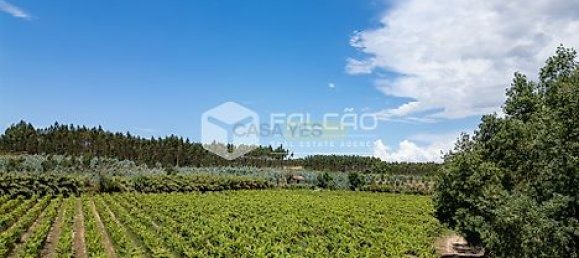 Terrain à Azambuja, Portugal 23488m² No. 39532 15