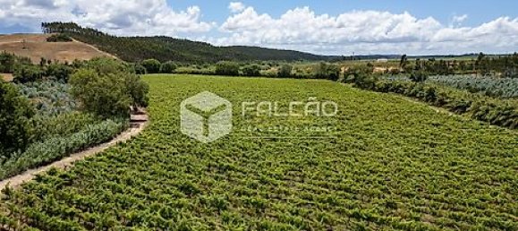 Terrain à Azambuja, Portugal 23488m² No. 39532 20