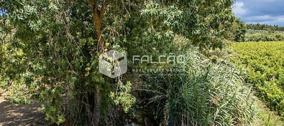 Terrain à Azambuja, Portugal 23488m² No. 39532 24