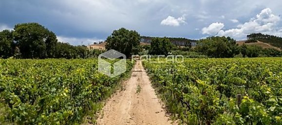 Terrain à Azambuja, Portugal 23488m² No. 39532 28