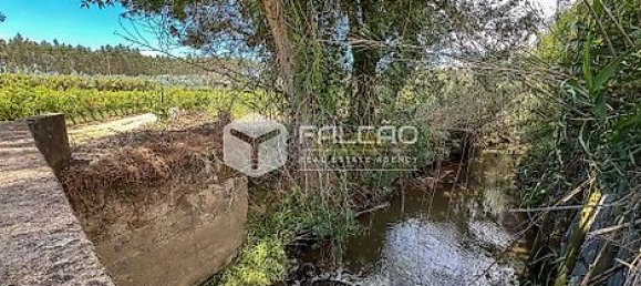 Terrain à Azambuja, Portugal 23488m² No. 39532 29