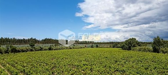 Terrain à Azambuja, Portugal 23488m² No. 39532 13