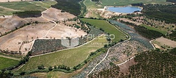 Terrain à Azambuja, Portugal 23488m² No. 39532 2