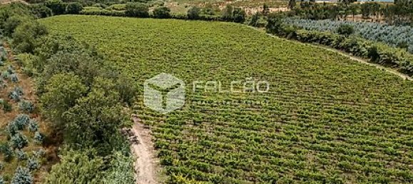 Terrain à Azambuja, Portugal 23488m² No. 39532 25