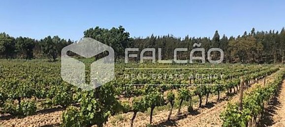 Terrain à Azambuja, Portugal 23488m² No. 39532 39