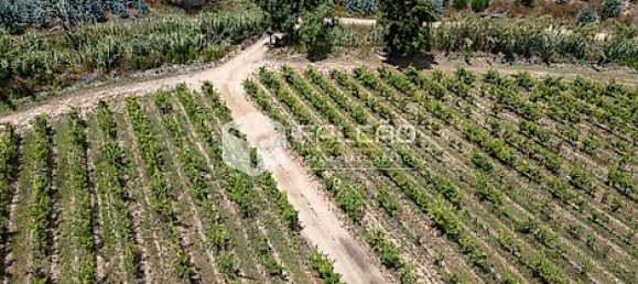 Terrain à Azambuja, Portugal 23488m² No. 39532 21