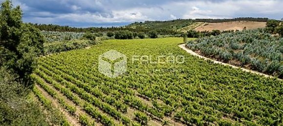 Terrain à Azambuja, Portugal 23488m² No. 39532 22