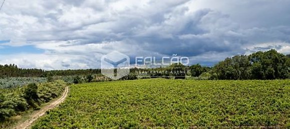 Terrain à Azambuja, Portugal 23488m² No. 39532 14