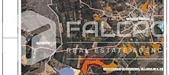 Terrain à Azambuja, Portugal 23488m² No. 39532 47