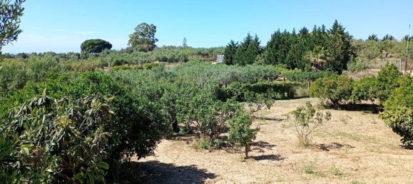 5-salle Villa à Partinico, Italy No. 103793 6