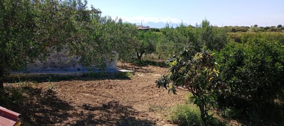 5 rooms Villa in Partinico, Italy No. 103793 22