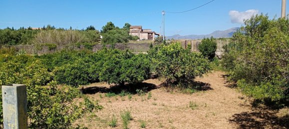 5 rooms Villa in Partinico, Italy No. 103793 33