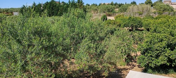 5 rooms Villa in Partinico, Italy No. 103793 18