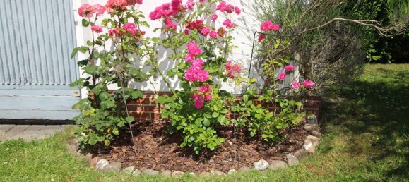 5 غرف نوم تاون هاوس في Luneburg, Germany رقم 263722 5