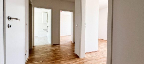 Escritório de 4 divisões em Grieskirchen, Austria N.º 230905 12