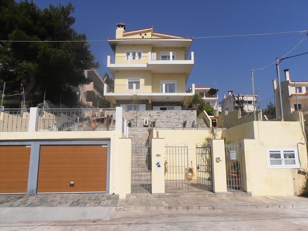 5 bedrooms Commercial property in Rafina, Greece No. 7911