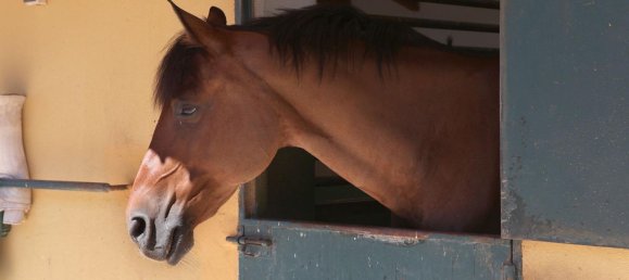 Дом с 7 спальнями в Бетера, Испания № 79473 35