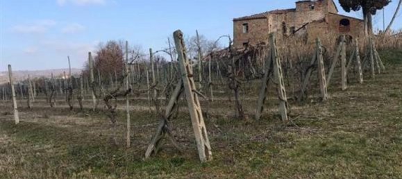 Studio in Civitella in Val di Chiana, Italy No. 1499 8