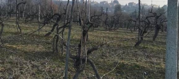 Studio in Civitella in Val di Chiana, Italy No. 1499 9