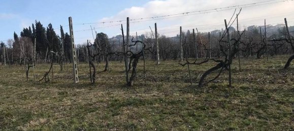Studio in Civitella in Val di Chiana, Italy No. 1499 7