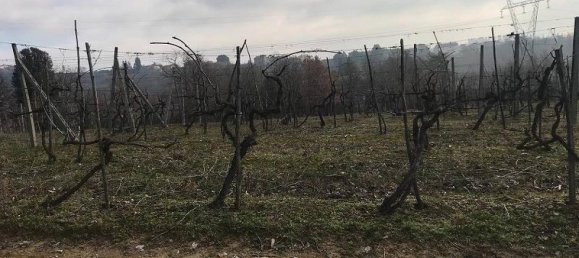 Studio in Civitella in Val di Chiana, Italy No. 1499 4