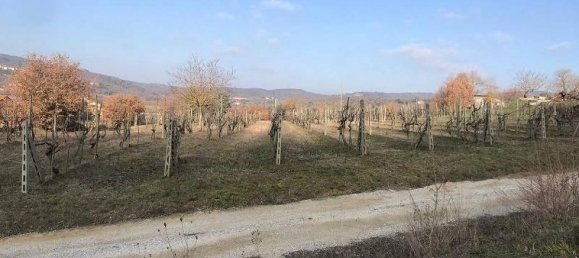 Studio in Civitella in Val di Chiana, Italy No. 1499 10