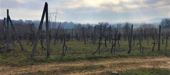 Studio in Civitella in Val di Chiana, Italy No. 1499 2