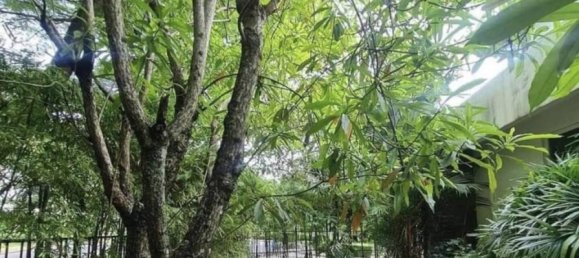 4 chambres Maison à Ko Kaeo, Thailand No. 24055 2