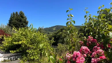 Propiedad comercial en St. Ulrich bei Steyr, Austria 125 m² No. 148662