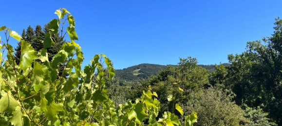 Propiedad comercial en St. Ulrich bei Steyr, Austria 125 m² No. 148662 3