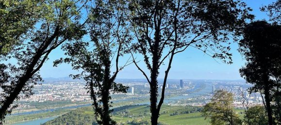 9 rooms Villa in Dobling, Austria No. 257257 10