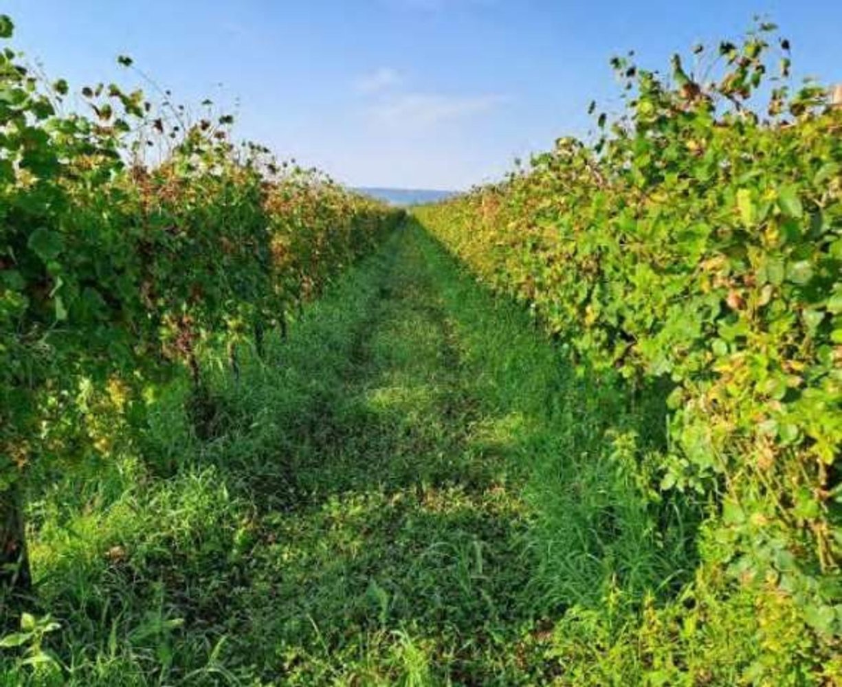 Grundstück in Farra di Soligo, Italy 3211m², Nr. 283333