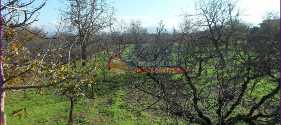 6241m² Land in Somma Vesuviana, Italy No. 163998 3