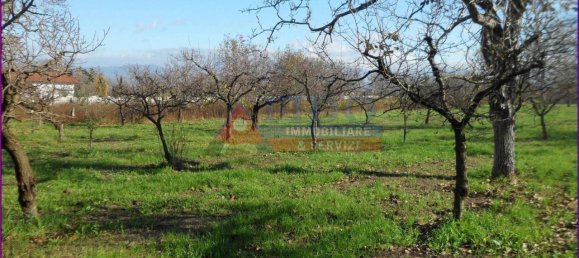 6241m² Land in Somma Vesuviana, Italy No. 163998 15