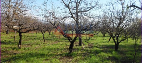 6241m² Land in Somma Vesuviana, Italy No. 163998 12