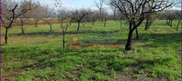 6241m² Land in Somma Vesuviana, Italy No. 163998 17