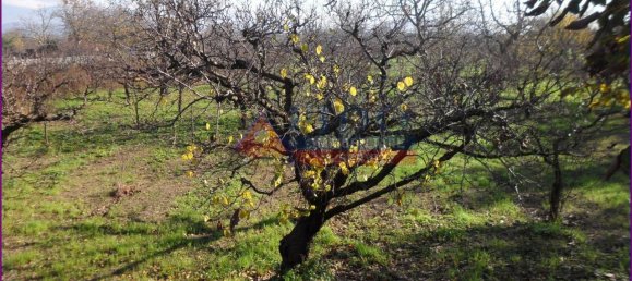 6241m² Land in Somma Vesuviana, Italy No. 163998 5