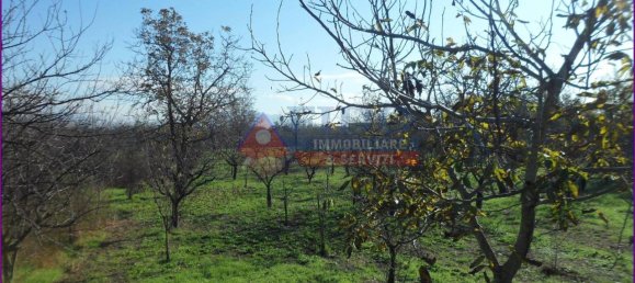 6241m² Land in Somma Vesuviana, Italy No. 163998 2