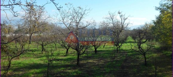 6241m² Land in Somma Vesuviana, Italy No. 163998 9