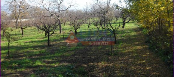 6241m² Land in Somma Vesuviana, Italy No. 163998 7