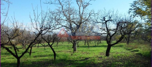 6241m² Land in Somma Vesuviana, Italy No. 163998 14