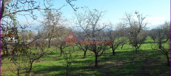 6241m² Land in Somma Vesuviana, Italy No. 163998 6