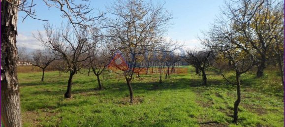 6241m² Land in Somma Vesuviana, Italy No. 163998 16