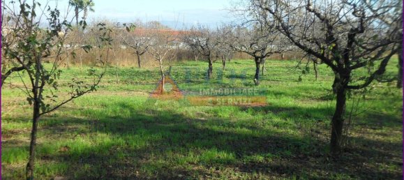 6241m² Land in Somma Vesuviana, Italy No. 163998 10