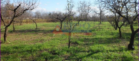 6241m² Land in Somma Vesuviana, Italy No. 163998 18